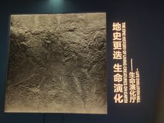 -湖南省地质博物馆