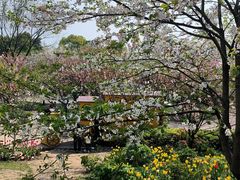 -南山植物园