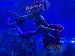 -石家庄极地海洋世界