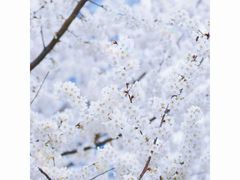 -桂溪生态公园