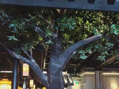 -绿茶餐厅(昆明世纪金源店)