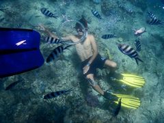 -斐济双桅帆船外岛一日游 浮潜 海钓 Tinhao号