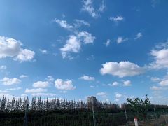 -上海长兴岛郊野公园