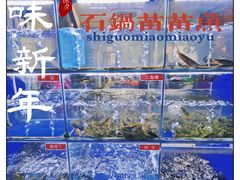 -石锅苗苗鱼(武汉首店)