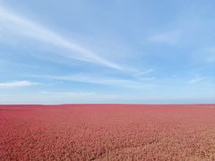 -红海滩国家风景廊道