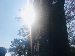 -东涌水乡风情街