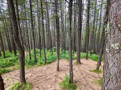 -驼梁风景区