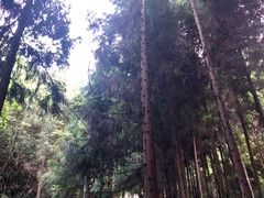 景点-娄山关景区