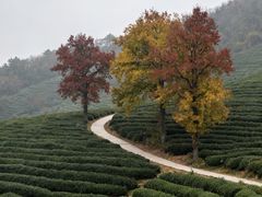 -虞山风景区
