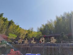 -宁波浙东大竹海景区
