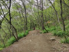 -灵岩山风景区