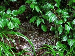 -宁波五龙潭景区