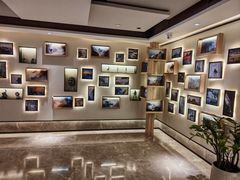 -黄山排云型旅酒店餐厅