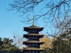 -北京世界公园