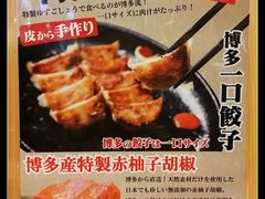 一口饺子的说明-博多一幸舍(侨福芳草地购物中心店)
