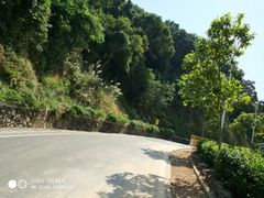 -火炉山森林公园
