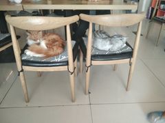-平行世界·猫咖(首经贸店)