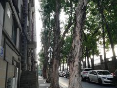 -海堤纪念公园