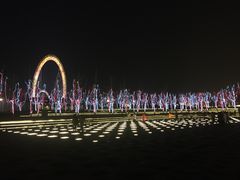 -南京眼步行桥