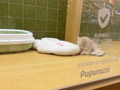 -首开·龙湖成都西宸天街