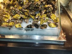 -圣罗巴海鲜烤肉自助(佳兆业店)