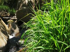 -碓臼峪自然风景区