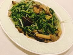 -翠园(铜锣湾广场店)