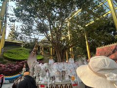 -西双版纳勐泐文化旅游区