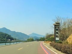 -新建村梅花
