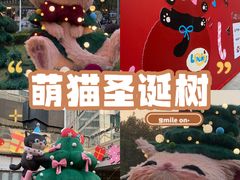 -中海环宇荟