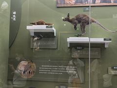 -国家自然博物馆