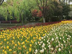 -上海鲜花港