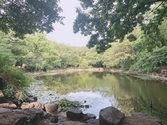 -灵谷景区