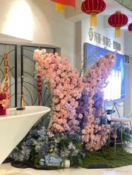 -石家庄苏亚美联臣医疗美容医院