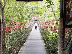 -呀诺达热带雨林