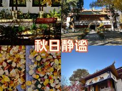 -罗布林卡