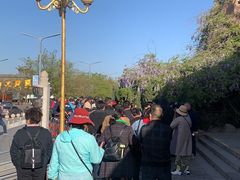 -大槐树寻根祭祖园