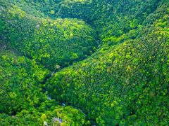 -九曲溪竹筏码头