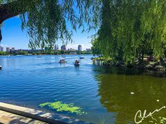 -长春市南湖公园