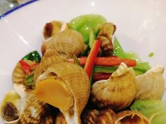 鲜露汁东海香螺-桃园盛宴·岭南粤菜·手工茶点(南庄店)