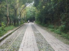 -紫金山山顶公园