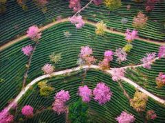 -无量山自然风景保护区