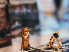 -猫的天空之城概念书店(苏州平江店)