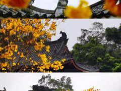 -光孝寺