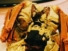 -王宝和酒家(黄浦店)