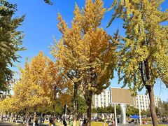 -四川大学(望江校区)
