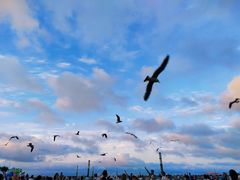 -东港音乐喷泉广场