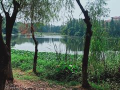 -艾溪湖湿地公园