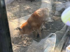 -无锡动物园·太湖欢乐园