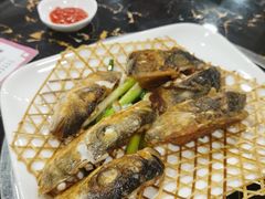 顺德煎鱼嘴-金城大酒店-中餐厅(汾江中路店)